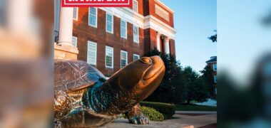 Giving Day graphic with Testutdo